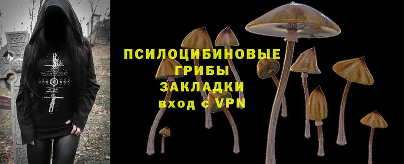 наркотики  ссылка на мегу   Галлюциногенные грибы Cubensis  Нижнеудинск 